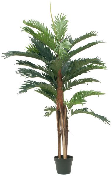 EUROPALMS Kentia Palme, Kunstpflanze, 120cm