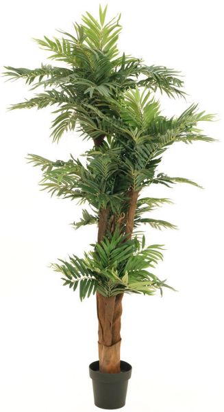 EUROPALMS Areca Palme, Kunstpflanze, 170cm