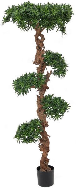 EUROPALMS Bonsai-Palmenbaum, 180cm