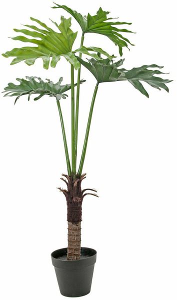 EUROPALMS Splitphilodendron, 120cm